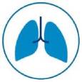 Lungs icon