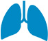 Lungs icon